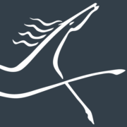 Cantium, LLC